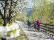 Frühling, Blüte, Radweg, Familie, TG Naturns_PhotoGrünerThomas (1)