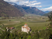 Kultur-Sehenswertes-Schloss Dornsberg, TG Naturns, Peter Santer